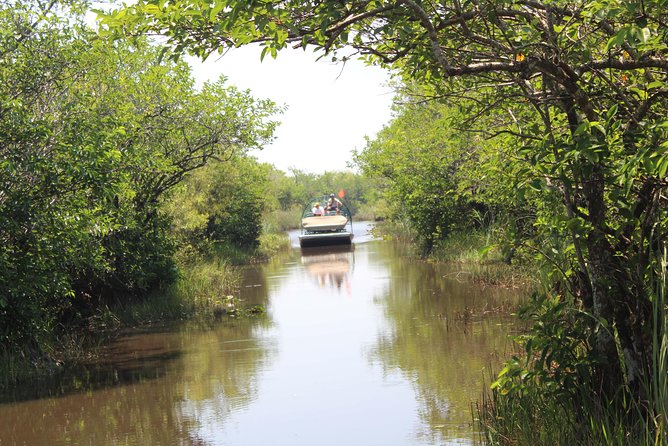 Private Everglades Airboat Tour with Pick up and Everglades Guide - From Miami to Everglades National Park