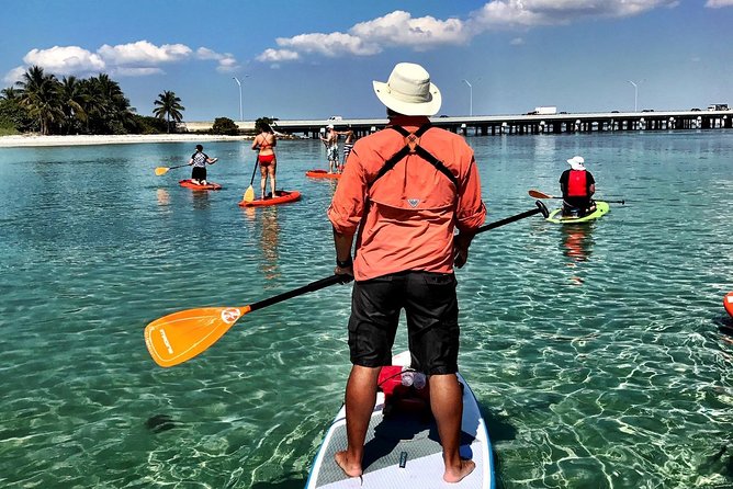 Private Guided Kayak or SUP Eco Adventure - Through Biscayne Bay Aquatic Preserve