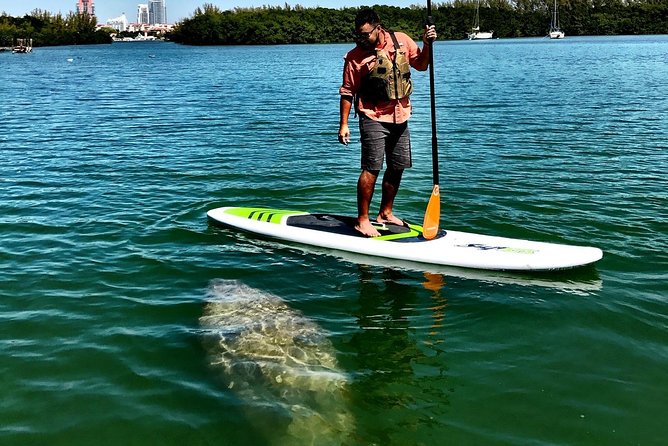 Private Guided Kayak or SUP Eco Adventure - What is included for the $99 price