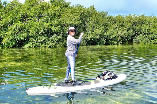Private Guided Kayak or SUP Eco Adventure - Time, effort, and weather