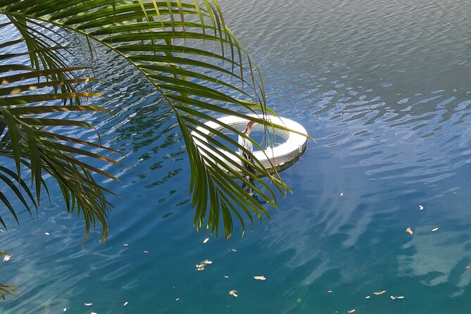 Private Magic City Tour with Transfers Experience - Art Deco Miami, where the city puts on its best colors