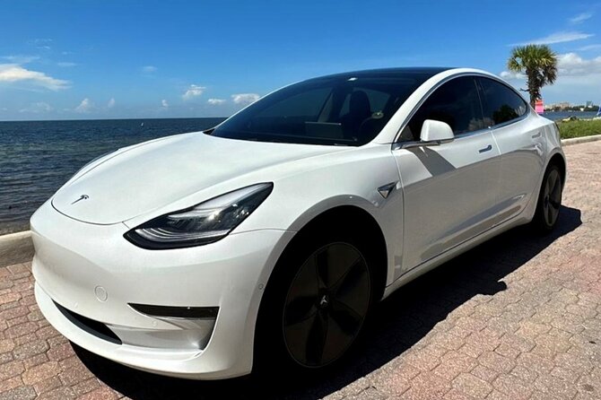 Private Miami City Tour in Tesla with local expert - One car, three very different Miamis