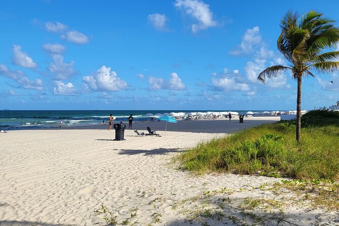 Private Transfer from Miami Airport to Hotel or Port Miami. - Communication, punctuality, and driver style