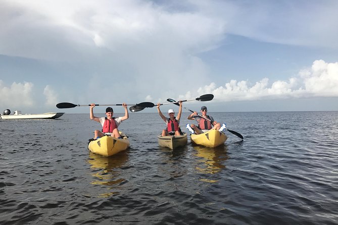 Small Group Boat, Kayak and Walking Guided Eco Tour Everglades - Why this Everglades trip feels different