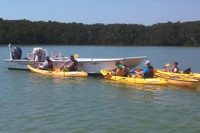 Small Group Boat, Kayak and Walking Guided Eco Tour Everglades - Meeting in Chokoloskee and heading into the islands