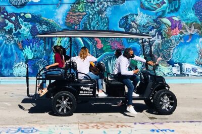 Small-Group Brewery Golf Cart Tour of Wynwood with a Local Guide