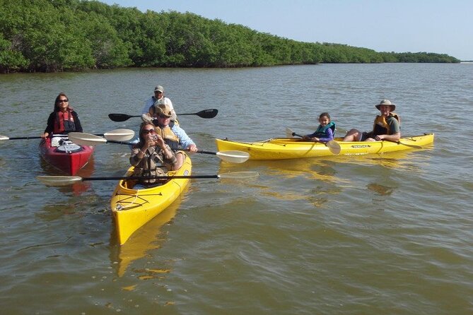 Small-Group Everglades Boating Kayaking and Walking Eco Tour - Why this Everglades tour feels different