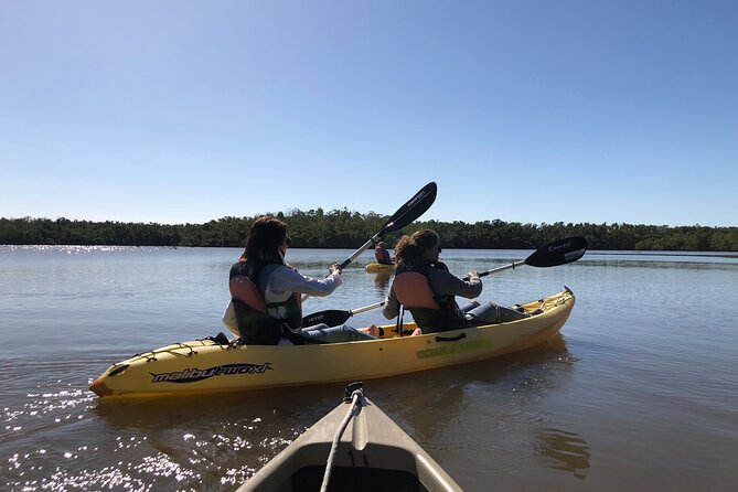 Small-Group Everglades Boating Kayaking and Walking Eco Tour - The guide makes the difference
