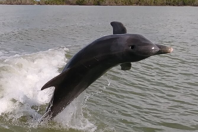 Small-Group Everglades Boating Kayaking and Walking Eco Tour - Starting in Chokoloskee and entering the Ten Thousand Islands