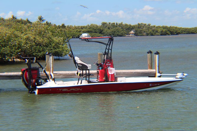 Small-group private Key West tour with expert guide - About five hours to explore Key West