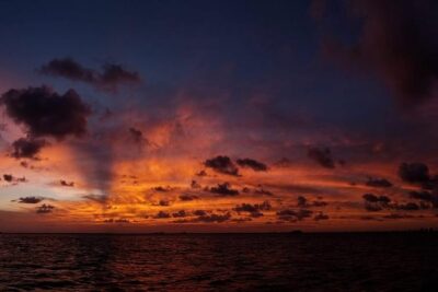 Sunset Sail in Miami: Complimentary Champagne Toast