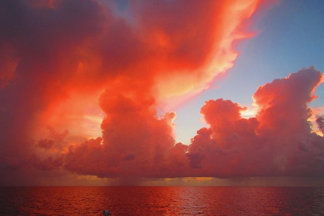 Sunset Sail in Miami: Complimentary Champagne Toast - Price and value at $99
