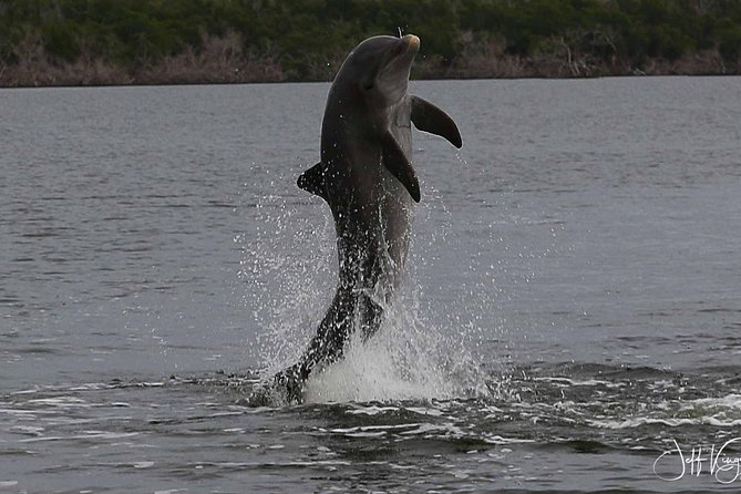 Two-Hour Everglades Dolphin, Manatee and Birding Boat Tour - The ride from Chokoloskee into the 10,000 Islands
