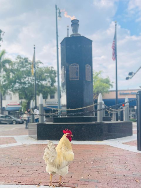 VIP Walking Tour of Little Havana - A local café, coffee, and the first taste of Cuba