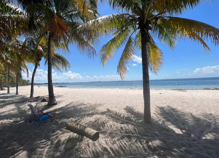 West Palm Beach: Beginner Snorkel Tour with Turtles & Videos - Why this West Palm Beach snorkel tour works for beginners