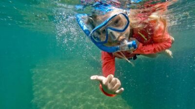 West Palm Beach: Beginner Snorkel Tour with Turtles & Videos