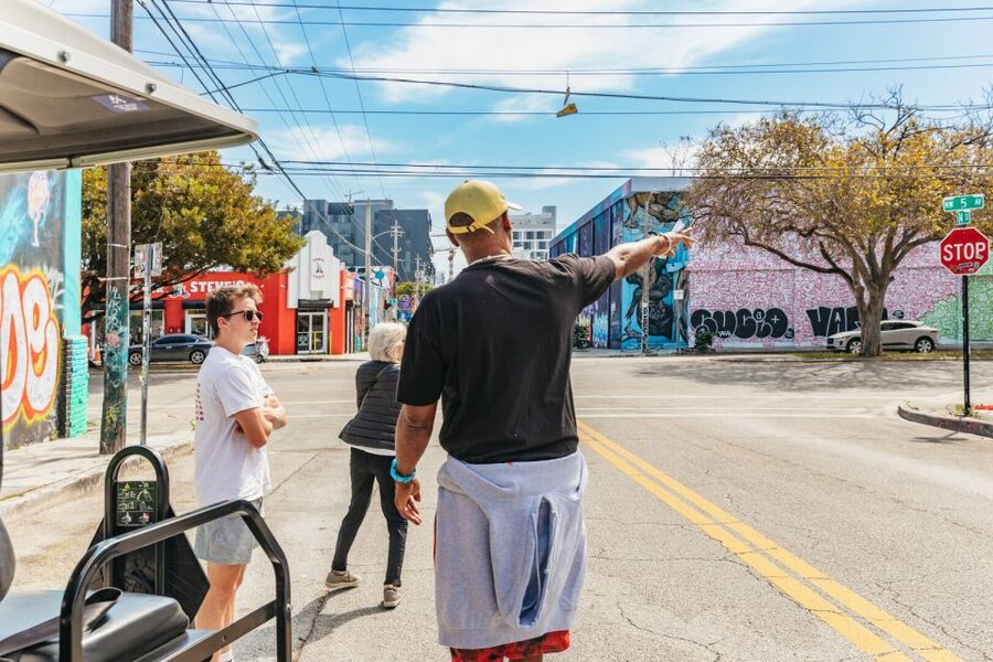 Wynwood Art District 1-Hour Street Art Tour by Golf Cart - Photos, comfort, and the small-group setup