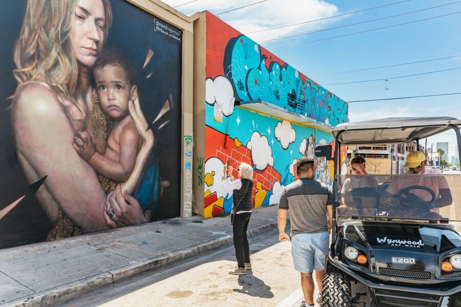 Wynwood Art District 1-Hour Street Art Tour by Golf Cart - Is $45 a fair price?