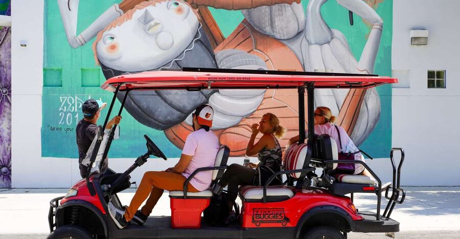 Wynwood Art District 1-Hour Wynwood Buggies Street Art Tour - Tips for getting more from the tour