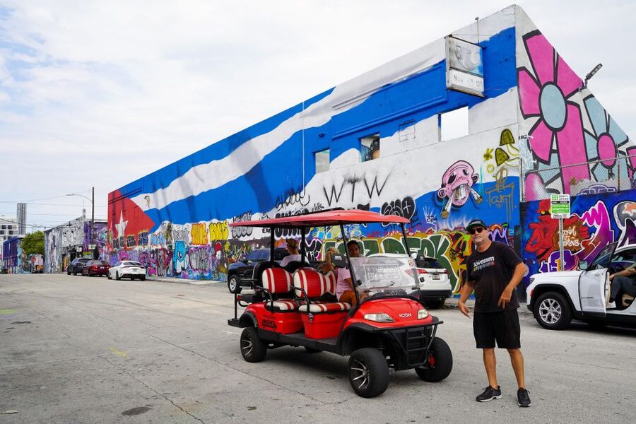 Wynwood Art District 1-Hour Wynwood Buggies Street Art Tour - Photo stops and the Wynwood Walls finish
