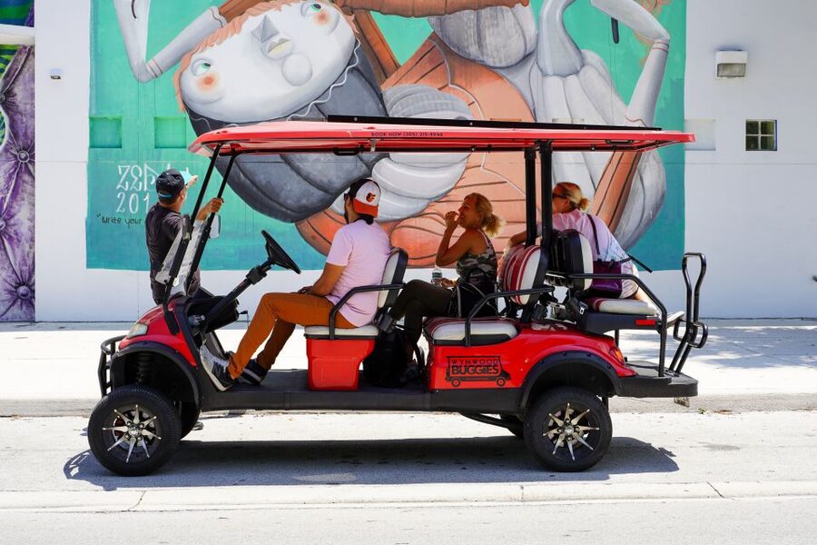 Wynwood Art District 1-Hour Wynwood Buggies Street Art Tour - Is $45 a fair price?