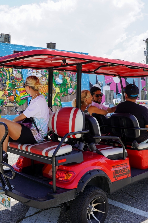 Wynwood Art District 1-Hour Wynwood Buggies Street Art Tour - Who will enjoy this hour most?