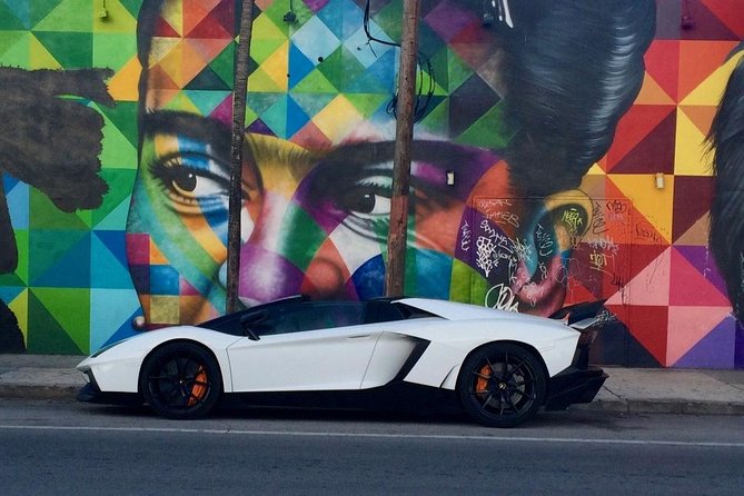 Wynwood French Guided Tour - Street Art - Why the small group matters