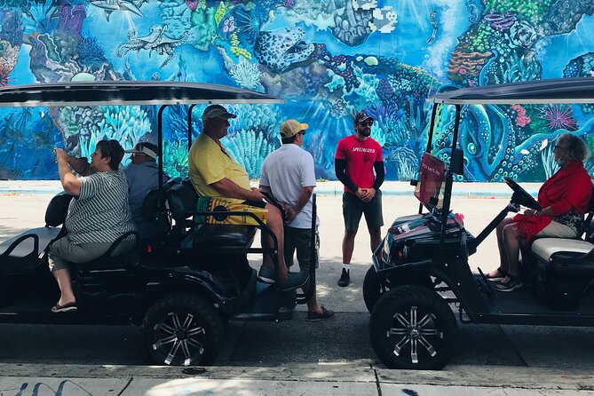 Wynwood Graffiti Golf Cart Small-Group Tour - Guides make or break a short art tour