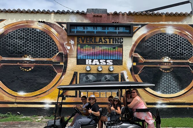 Wynwood Street Art Tour - Artist Lead -VIP Cart - Why Wynwood makes a good one-hour tour