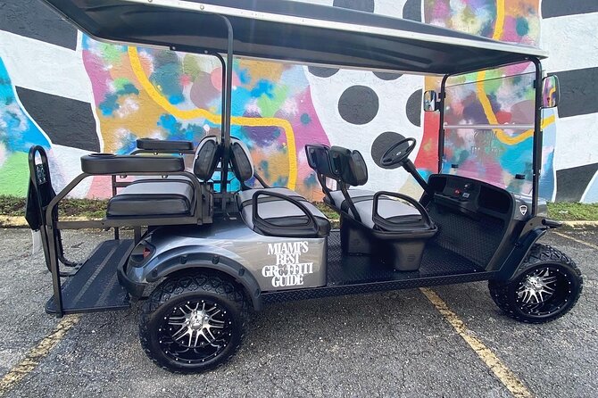Wynwood Street Art Tour - Artist Lead -VIP Cart - Seeing Wynwood Walls and the art beyond it