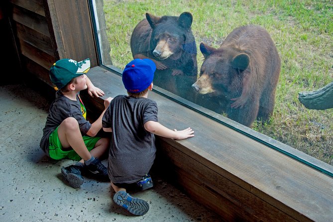 Zoo Miami Ticket with Optional Upgrade - Zoo Miami is a half-day animal park, not a quick stop