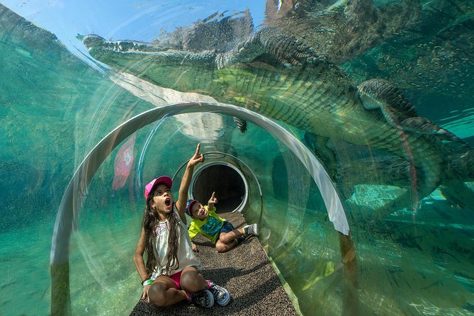 Zoo Miami Ticket with Optional Upgrade - Big cats, elephants, and wide animal habitats