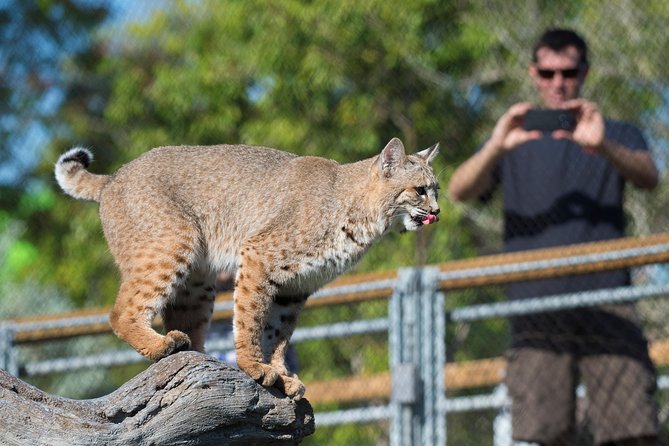Zoo Miami Ticket with Optional Upgrade - Walking, bicycles, and ride-on options