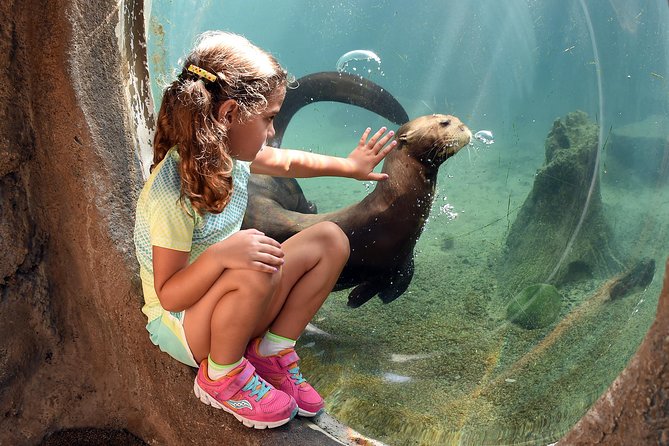 Zoo Miami Ticket with Optional Upgrade - Entering with a mobile ticket and parking included